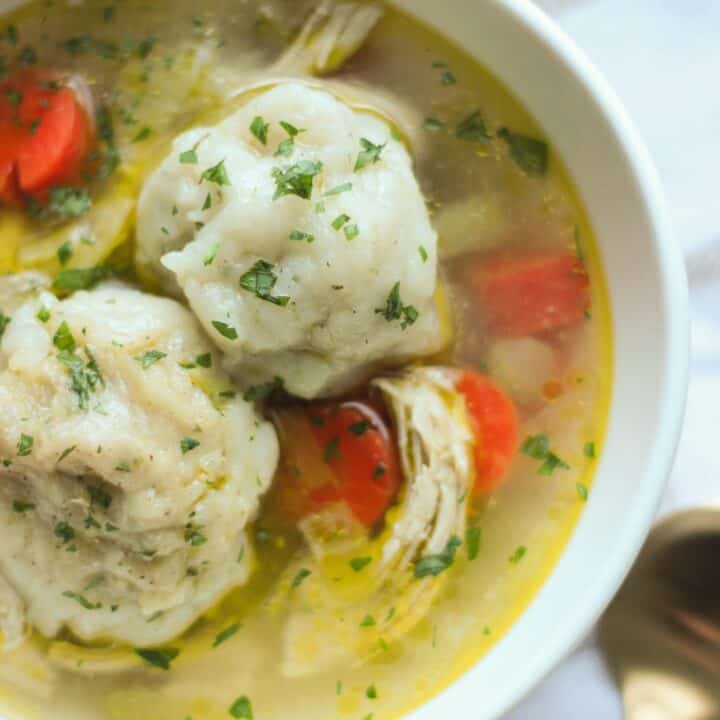 Dairy Free Chicken and Dumplings