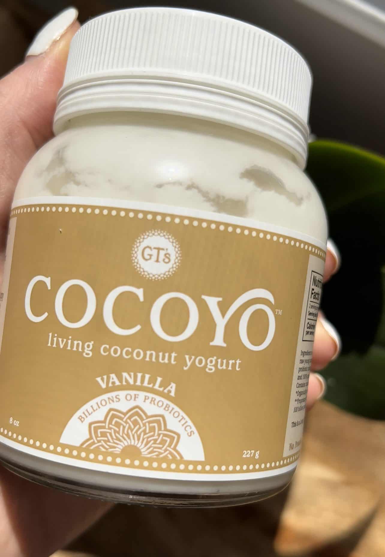 cocoyo dairy free yogurt