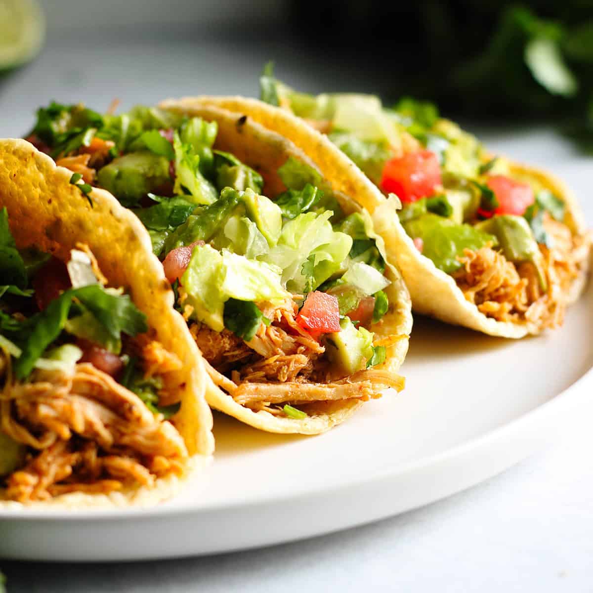 Crockpot Shredded Chicken for Tacos - Milk Free Mom