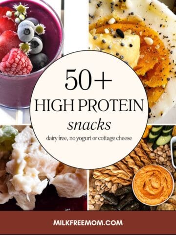 50 dairy free high protein snacks without yogurt or cottage cheese