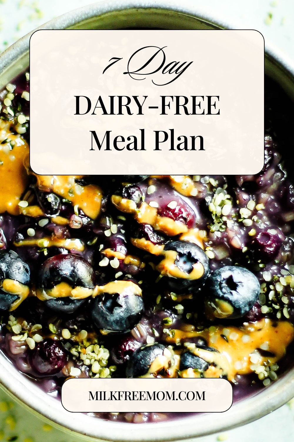 day dairy free meal plan